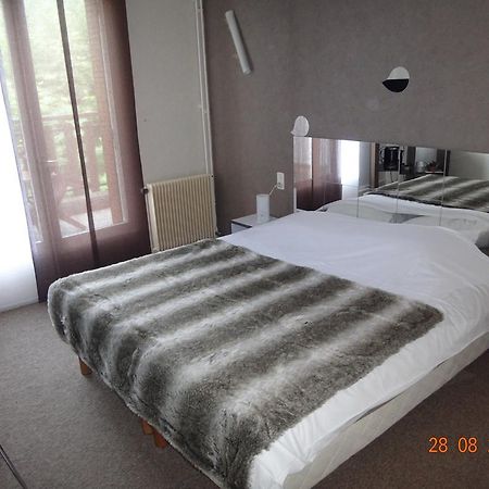 Hotel Bon Accueil Oyonnax Ruang foto